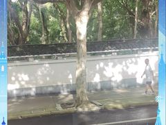 -上海方塔园