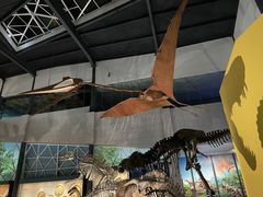 -湖南省地质博物馆