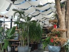 -北马山庄植趣咖啡