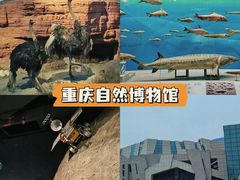 -重庆中国三峡博物馆(重庆博物馆)