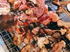 -柿子树炭烤羊腿(金台路店)