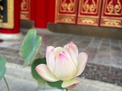 -西安市广仁寺