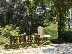 -广州市帽峰山景区