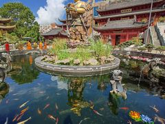 -上海东林寺(金山区)