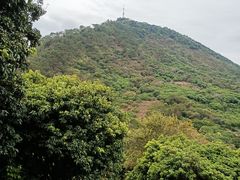 -风云岭森林公园