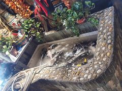 -小媳妇铁锅炖(安华街店)
