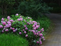 -上海吴淞炮台湾国家湿地公园