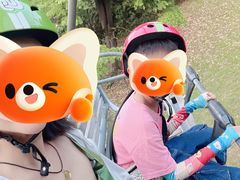 -圣淘沙天际线斜坡滑车