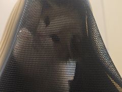-中农国际动物医院24小时·猫科·骨科·急重症中心