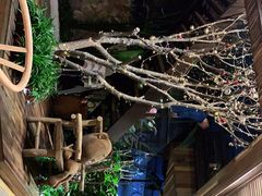 -渔太泰漓江小馆·广西融合菜(西街店)