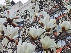 -浙江大学(玉泉校区)