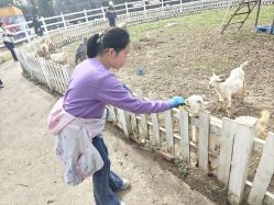 -前小桔亲子创意农场·草莓采摘·露营烧烤