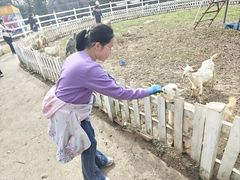 -前小桔亲子创意农场·草莓采摘·露营烧烤