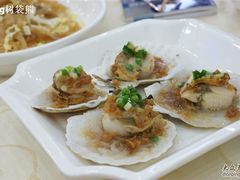 扇贝-海岛渔村大酒店(云霄路店)