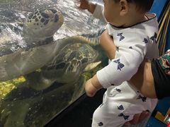 -苏州海洋馆