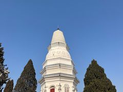 -百花食府(渔阳南路店)