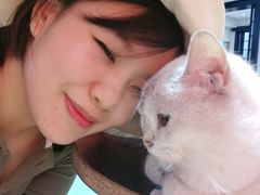-猫色咖啡·猫咖