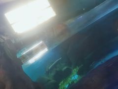 -苏州海洋馆
