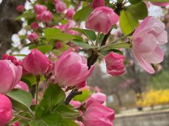 -元大都城垣遗址公园