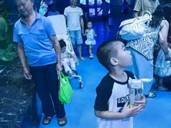 -海合安成都极地海洋公园