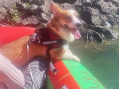 -安吉龙王山峡谷漂流