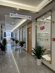 -碧莲盛·不剃发植发