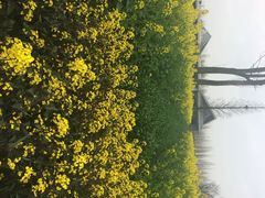 田园东方-田园东方蜜桃村的田野营地