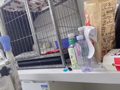 -达爱动物医院·犬猫分区·CT·复杂眼科(远洋山水分院)