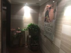 -金夫人美容