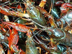 -雄楚国际大酒店-四季西餐厅