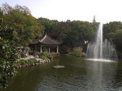 -叶家花园