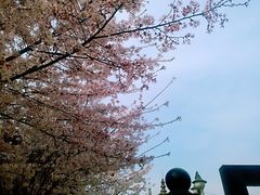 -西安青龙寺遗址景区