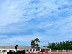 -北京群众马术培训基地