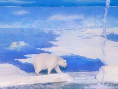 -海合安天津极地海洋公园