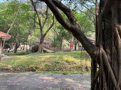 -大雁山风景区