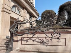 -伯衡55·吉品轩(乌鲁木齐南路店)