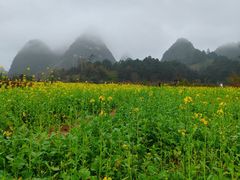 -靖西鹅泉风景区