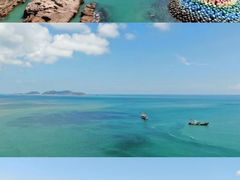 -枸杞岛