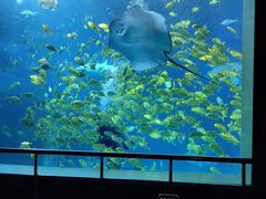 -太平洋海底世界