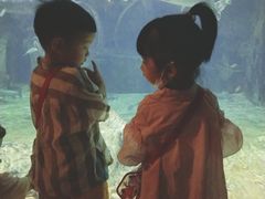 -华夏文旅海洋公园