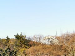 -上海方塔园