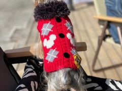 -小龍鳳餐室(番禺路店)