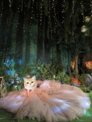 -爱城婚纱摄影·品质严选店