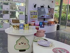 -小猫来了·猫咪专售(红山六九七九店)