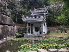 -深圳国际园林花卉博览园