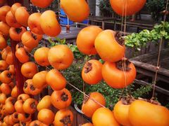 -凤凰山斑鱼馆(恭城店)