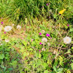 -南海地球村生态亲子乐园