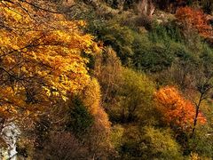 -叠溪松坪沟景区