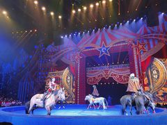 -珠海横琴长隆《卡卡虎奇遇记》