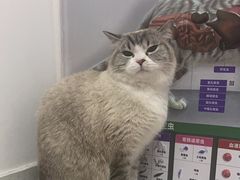 -瑞派雷欧宠物医院·中兽医·眼科·急重症转诊中心(黄台店)